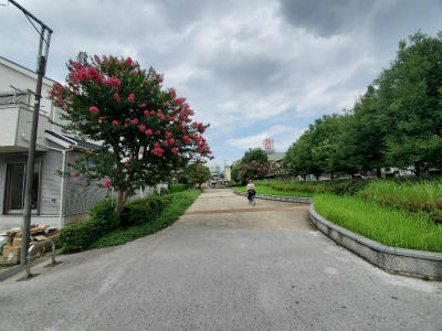 府中駅・府中本町駅・分倍河原駅、の３駅が徒歩圏の新築一戸建て (周辺写真) (3).jpg