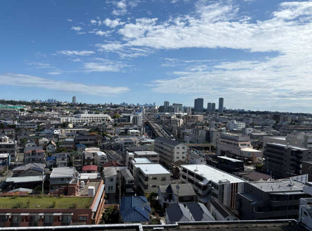 【THE PALMS COURT 溝の口HILLS】眺望