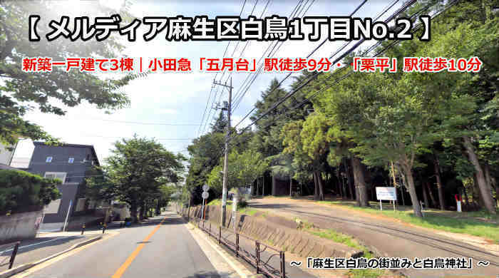 メルディア麻生区白鳥1丁目 新築一戸建て3棟 五月台駅 栗平駅 「麻生区白鳥の街並みと白鳥神社」.jpg