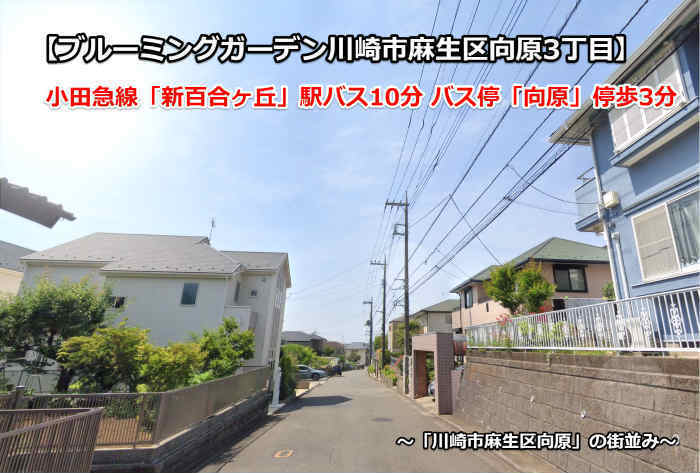 【ブルーミングガーデン向原3丁目】新築一戸建て3棟｜「新百合ヶ丘」駅バス10分 停歩3分 川崎市麻生区向原の街並み.jpg