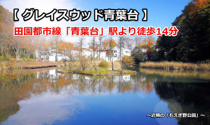 グレイスウッド青葉台 もえぎ野 新築一戸建て 3棟 青葉台駅徒歩14分 (もえぎ野公園).jpg