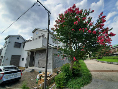 府中駅・府中本町駅・分倍河原駅、の３駅が徒歩圏の新築一戸建て (サルスベリ).jpg